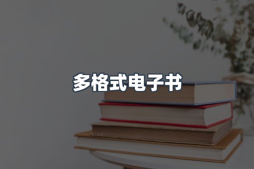 多格式电子书